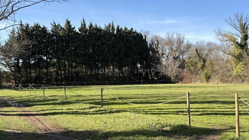 Maison - 197 m² - 6 pièces