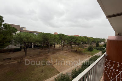 Appartement - 30 m² - 1 pièce