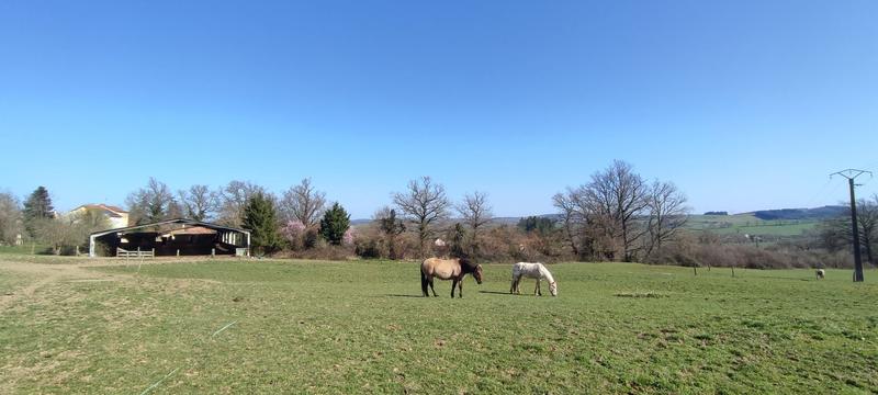 Maison - 117 m² - 4 pièces