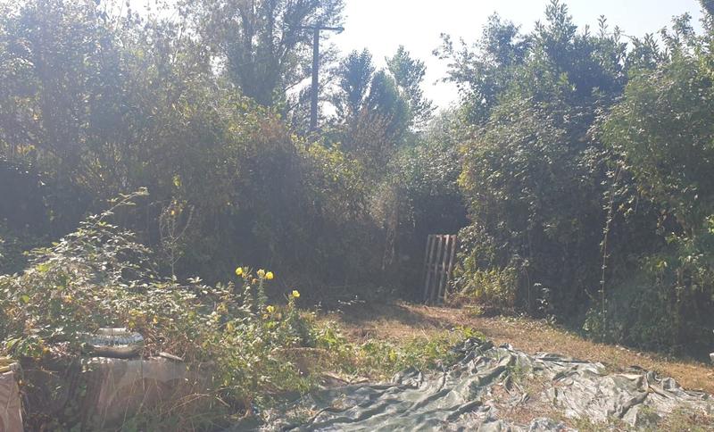 Maison - 200 m² - 7 pièces