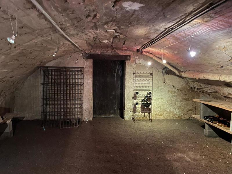 Demeure - 370 m² - 7 pièces