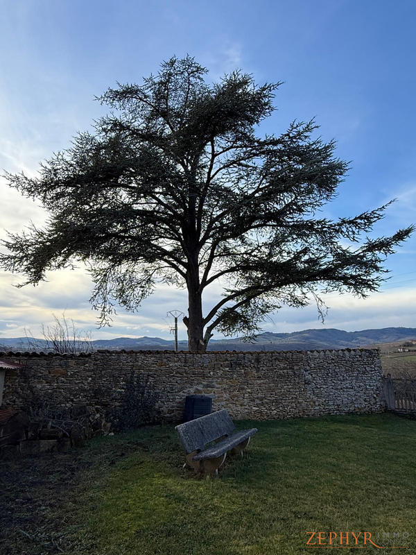 Maison ancienne - 100 m² - 3 pièces