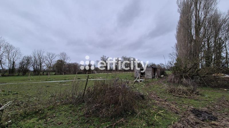 Pavillon - 207 m² - 10 pièces