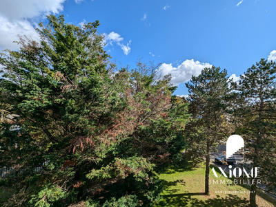 Appartement - 50 m² - 2 pièces