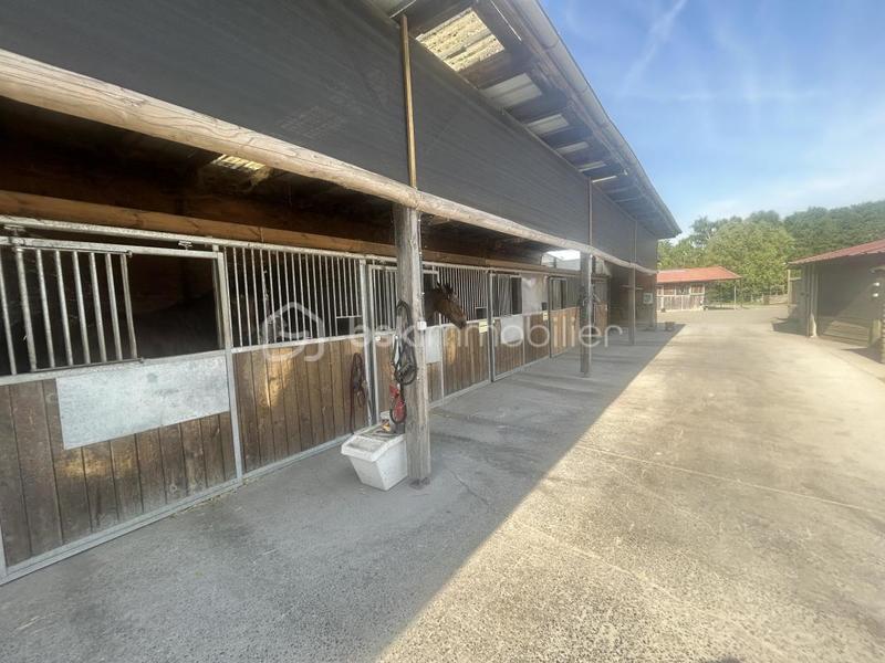 Maison de domaine équestre - 150 m² - 5 pièces