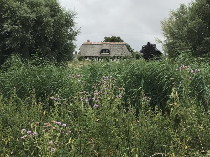 Rallye nature à Berville-sur-mer