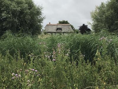 Rallye nature à Berville-sur-mer