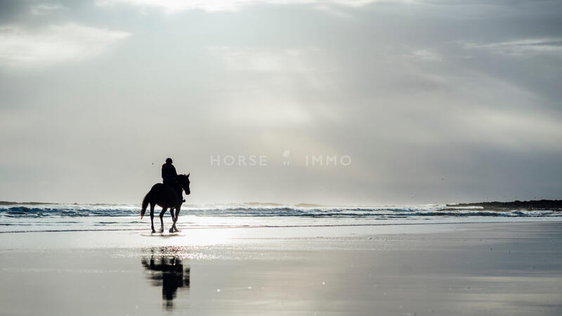 Immeuble - 2 500 m²