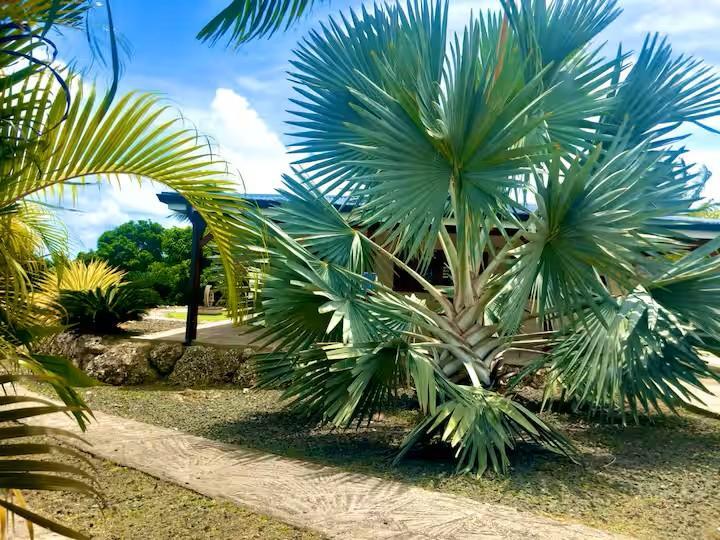 Maison - 79 m² - 4 pièces