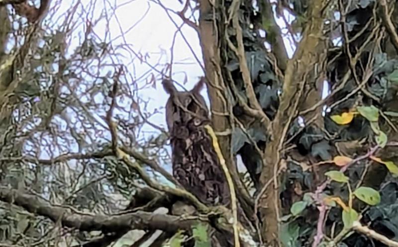 Remise - 128 m² - 1 pièce