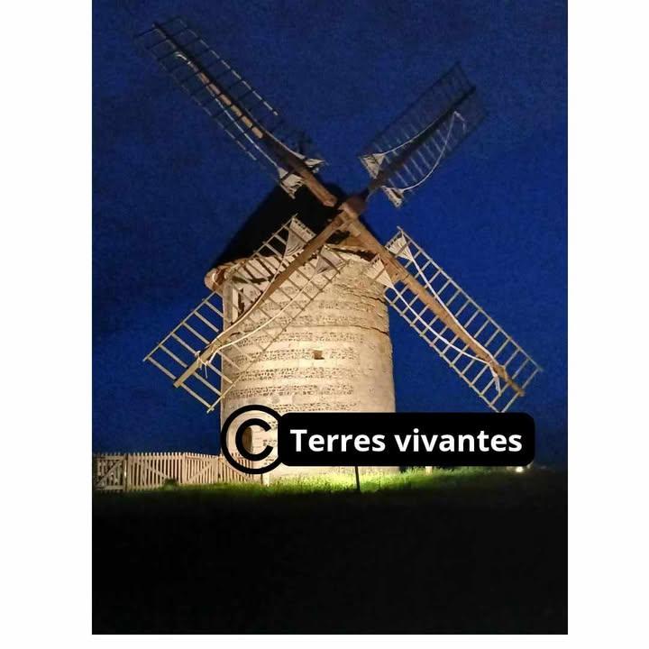 Animations autour du moulin d'Hauville