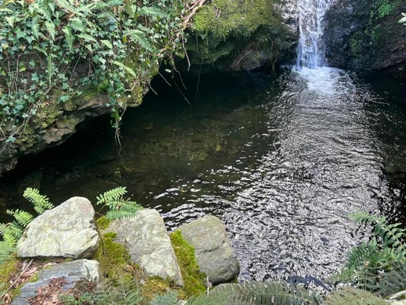 Maison - 282 m² - 9 pièces