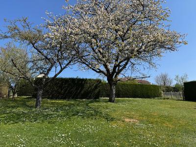 Maison traditionnelle - 123 m² - 6 pièces