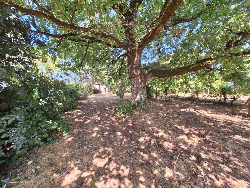 Maison traditionnelle - 110 m² - 5 pièces