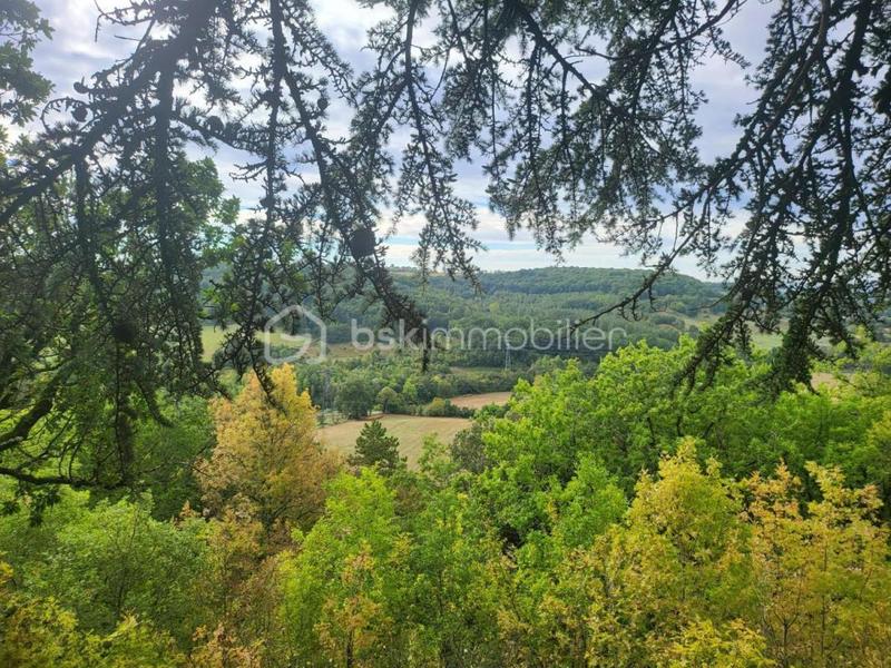 Château - 919 m² - 32 pièces