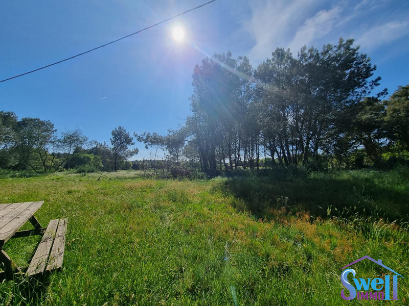 Maison ancienne - 105 m² - 5 pièces