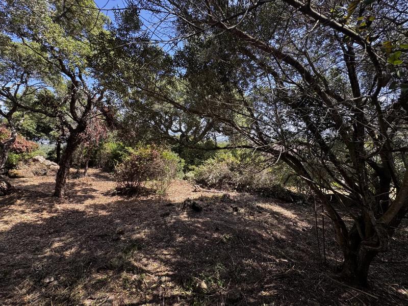 Terrain constructible - 1 490 m²