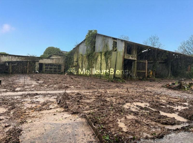 Maison de campagne - 60 m² - 3 pièces