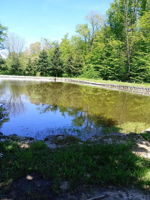 Terrain - 10 173 m²