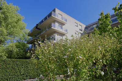 Appartement - 81 m² - 3 pièces