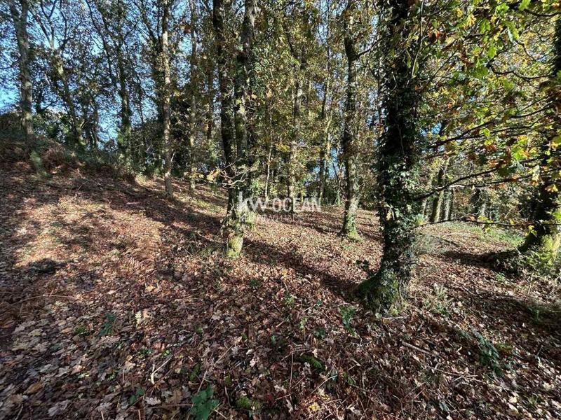 Maison - 138 m² - 7 pièces