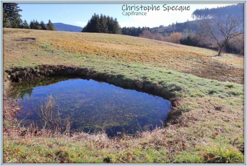 Terrain constructible - 4 945 m²