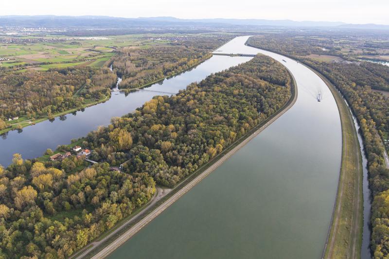 Balade à l’écoute de la forêt alluviale