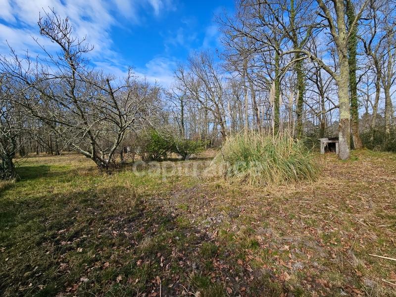 Maison - 214 m² - 7 pièces