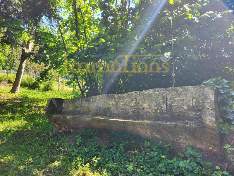 Maison - 330 m² - 9 pièces