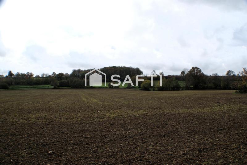 Maison - 250 m² - 4 pièces