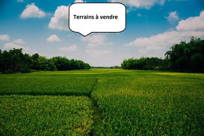 Maison - 556 à 1 093 m²