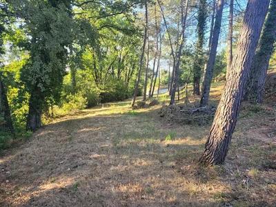 Terrain constructible - 3 200 m²