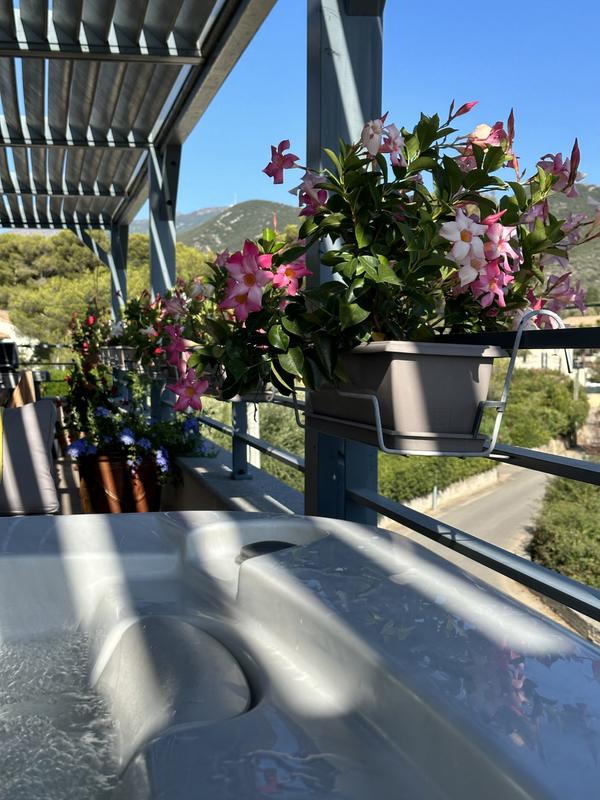 Appartement - 124 m² - 5 pièces