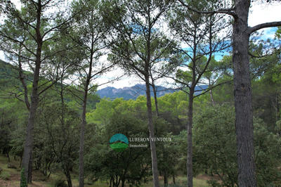 Maison - 106 m² - 4 pièces