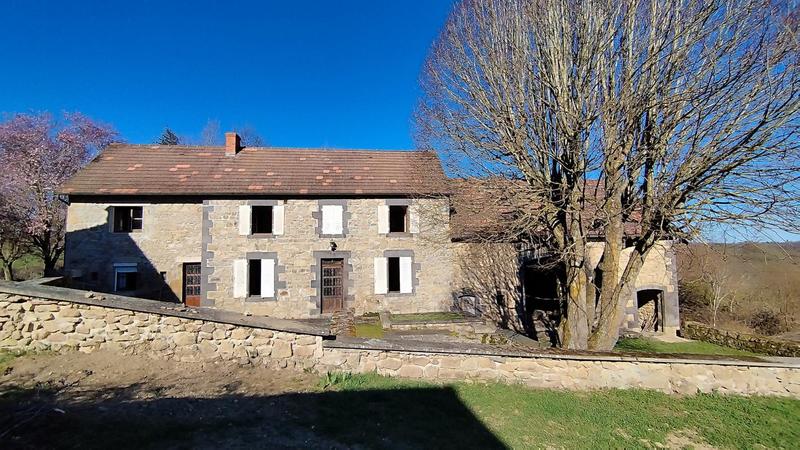 Maison en pierre - 290 m² - 10 pièces