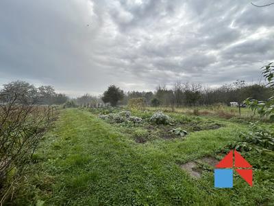 Terrain - 1 261 m²