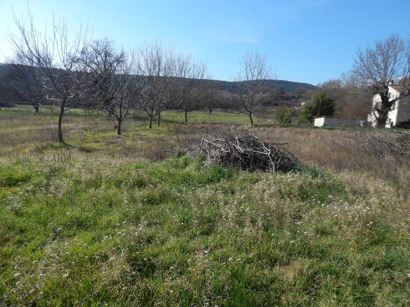 Terrain - 2 719 m²