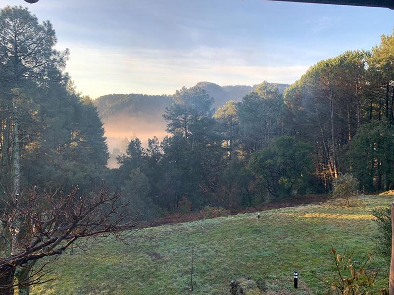 Propriété - 32 m² - 2 pièces