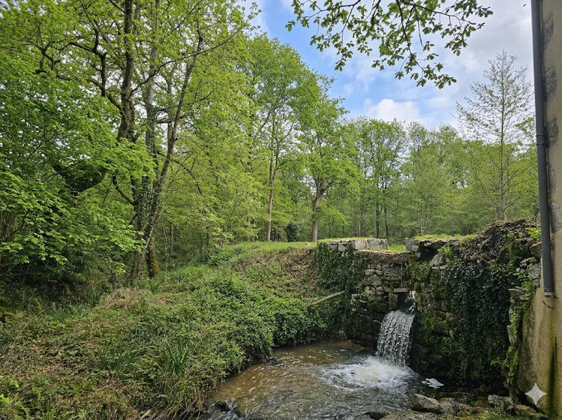 Moulin - 91 m² - 5 pièces