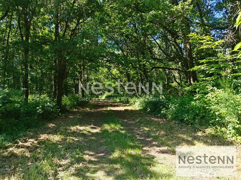 Terrain - 270 000 m²