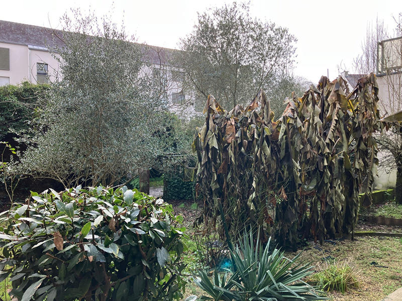 Maison - 111 m² - 7 pièces