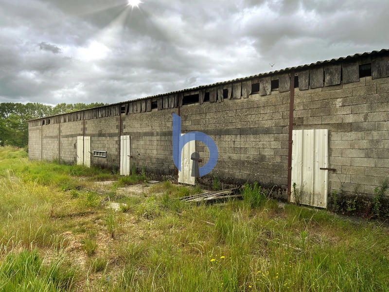 Terrain agricole - 10 000 m²