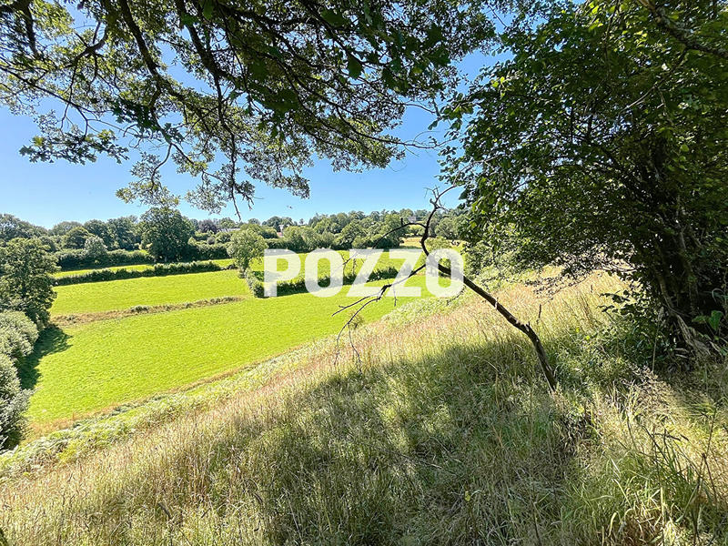 Terrain - 14 983 m²