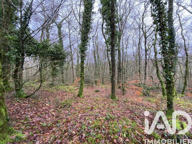 Terrain - 34 801 m²