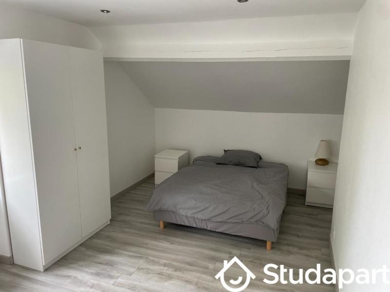 Chambre - 20 m² - 1 pièce