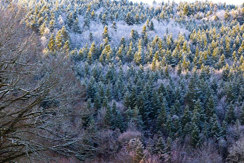 Terrain constructible - 865 m²