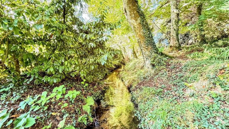 Propriété - 500 m² - 22 pièces