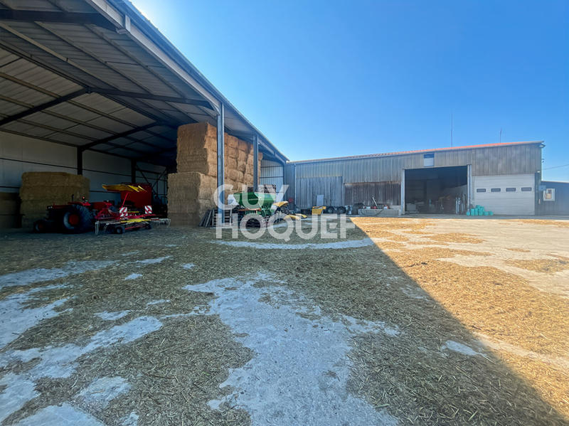 Entrepôt - 103 m² - 5 pièces