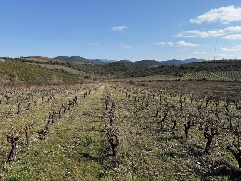 Maison - 157 m² - 6 pièces