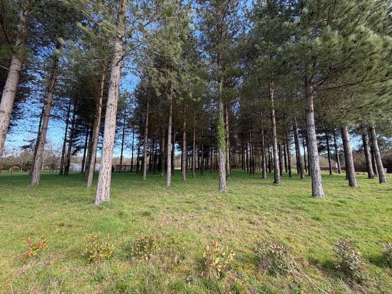 Terrain de loisirs - 3 000 m²